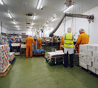 PU Screed for Food-Fish Process NCC